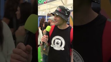 What's your Favorite Cannabis Strain?