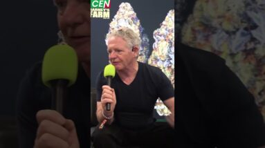 Barneys Farm Best Strain