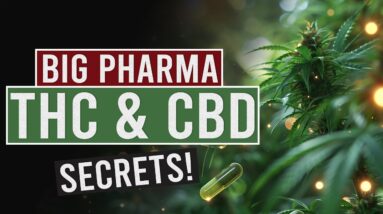 What Big Pharma Doesn't Want You to Know About THC and CBD!
