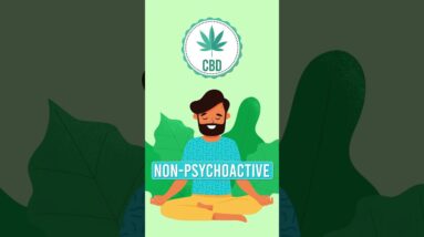 Does all Cannabis get you High?