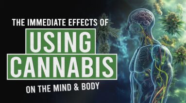 What Happens to Your Body When You Use Cannabis