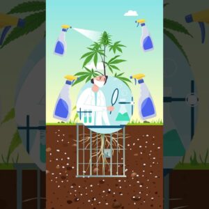 Nutrient Lockout: The Silent Plant Killer